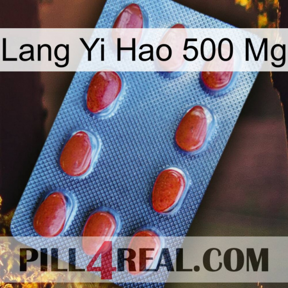 Lang Yi Hao 500 Mg 06.jpg